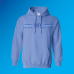 Briarcliffe Swim TEAM Hoodie